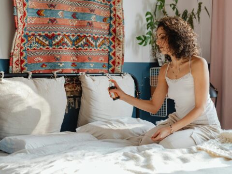 Best Bed Bug Spray in Singapore (and Why Sprays Aren't Enough)