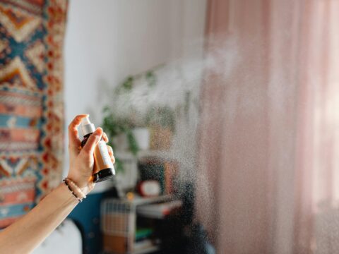 Best Bug Spray in Singapore: How to Choose