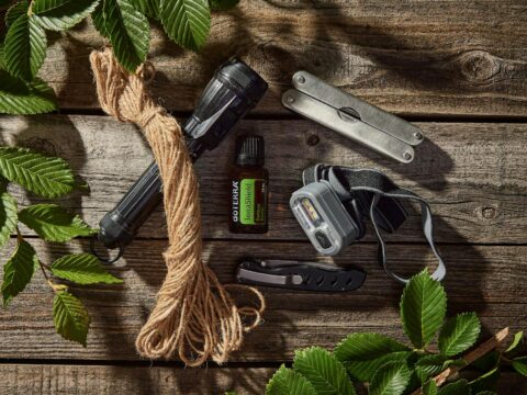Best Mosquito Repellent in Singapore: What to Look For