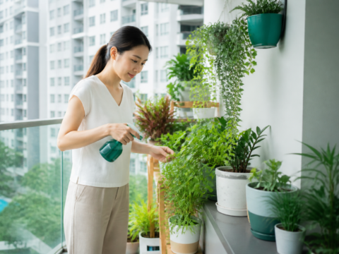Common Garden Pests in Singapore (and How to Manage Them)
