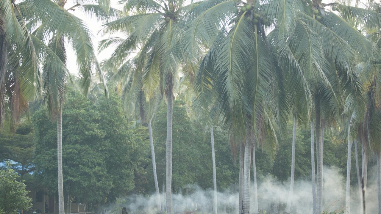 Fumigation & Fogging Services Singapore