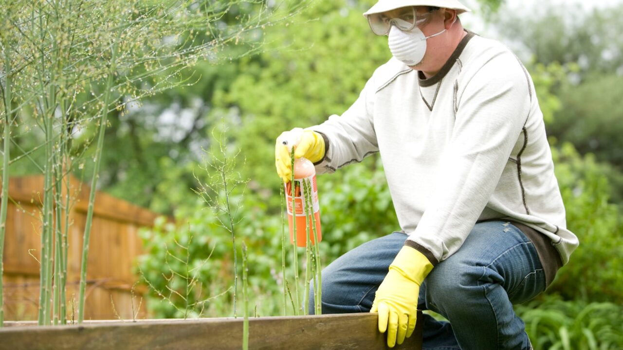 How to Choose a Pest Control Company in Singapore