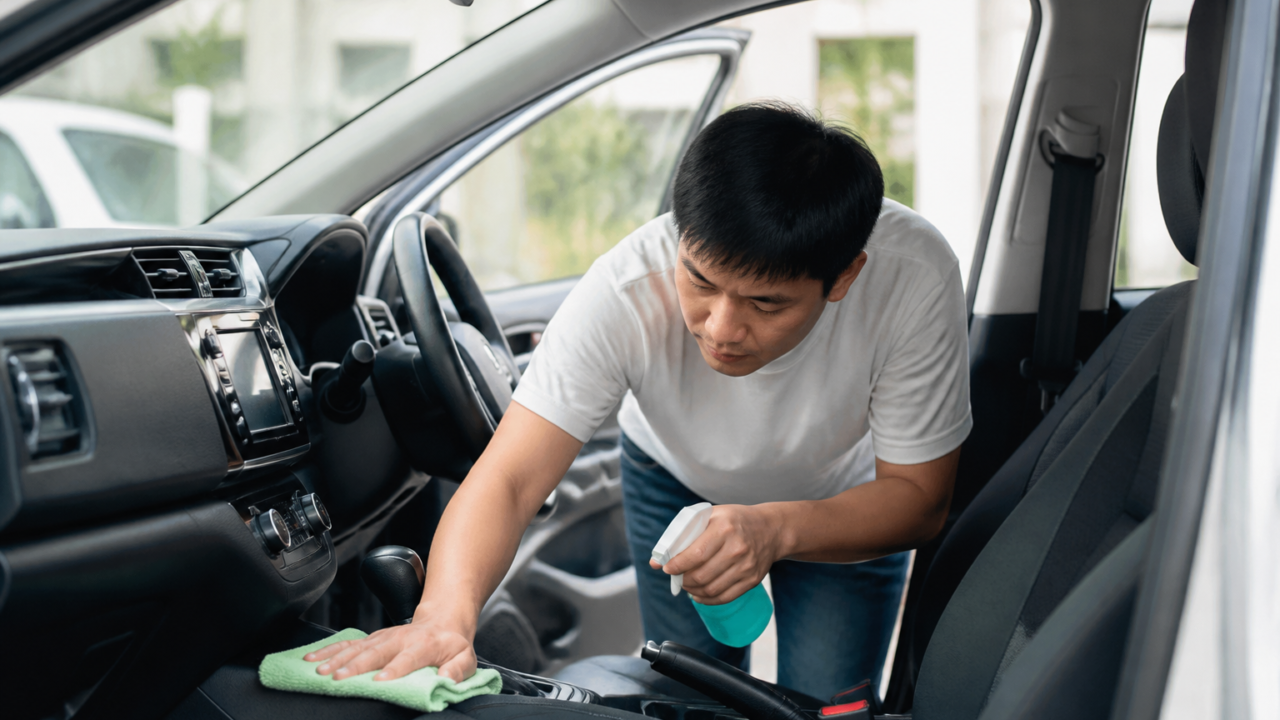 How to Get Rid of Cockroaches in Your Car (Singapore)