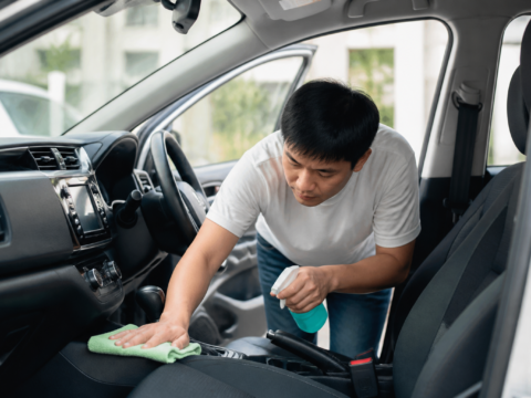 How to Get Rid of Cockroaches in Your Car (Singapore)