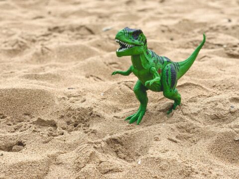 How to Get Rid of Lizards at Home (Singapore)