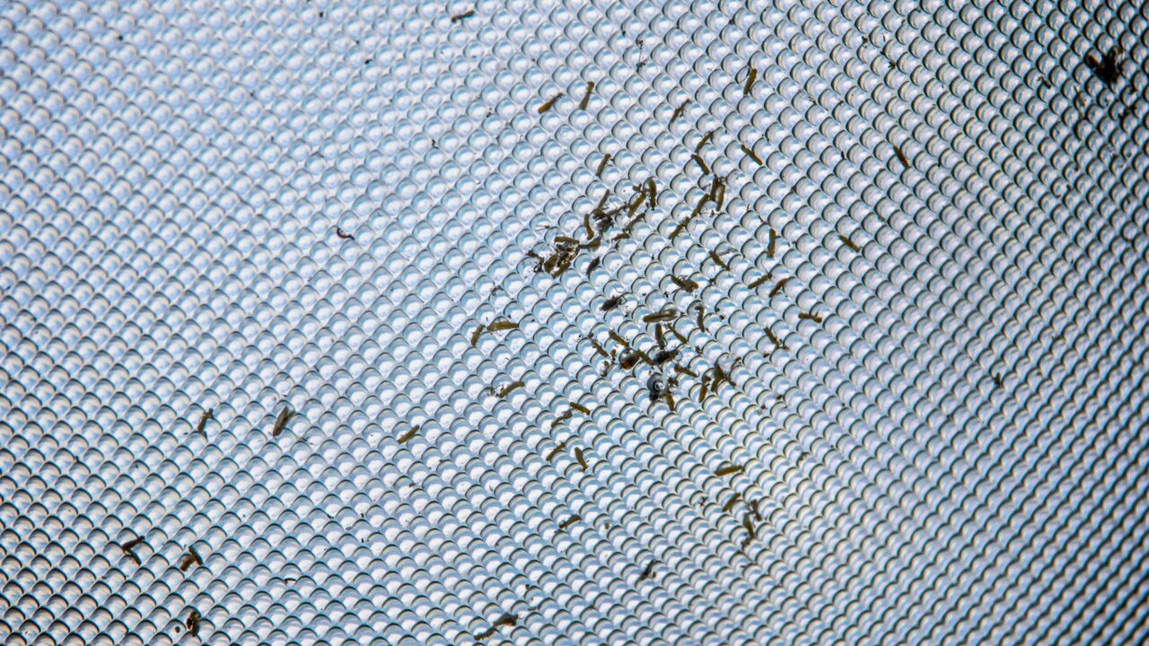How to Install a Magnetic Insect Screen (DIY Guide)