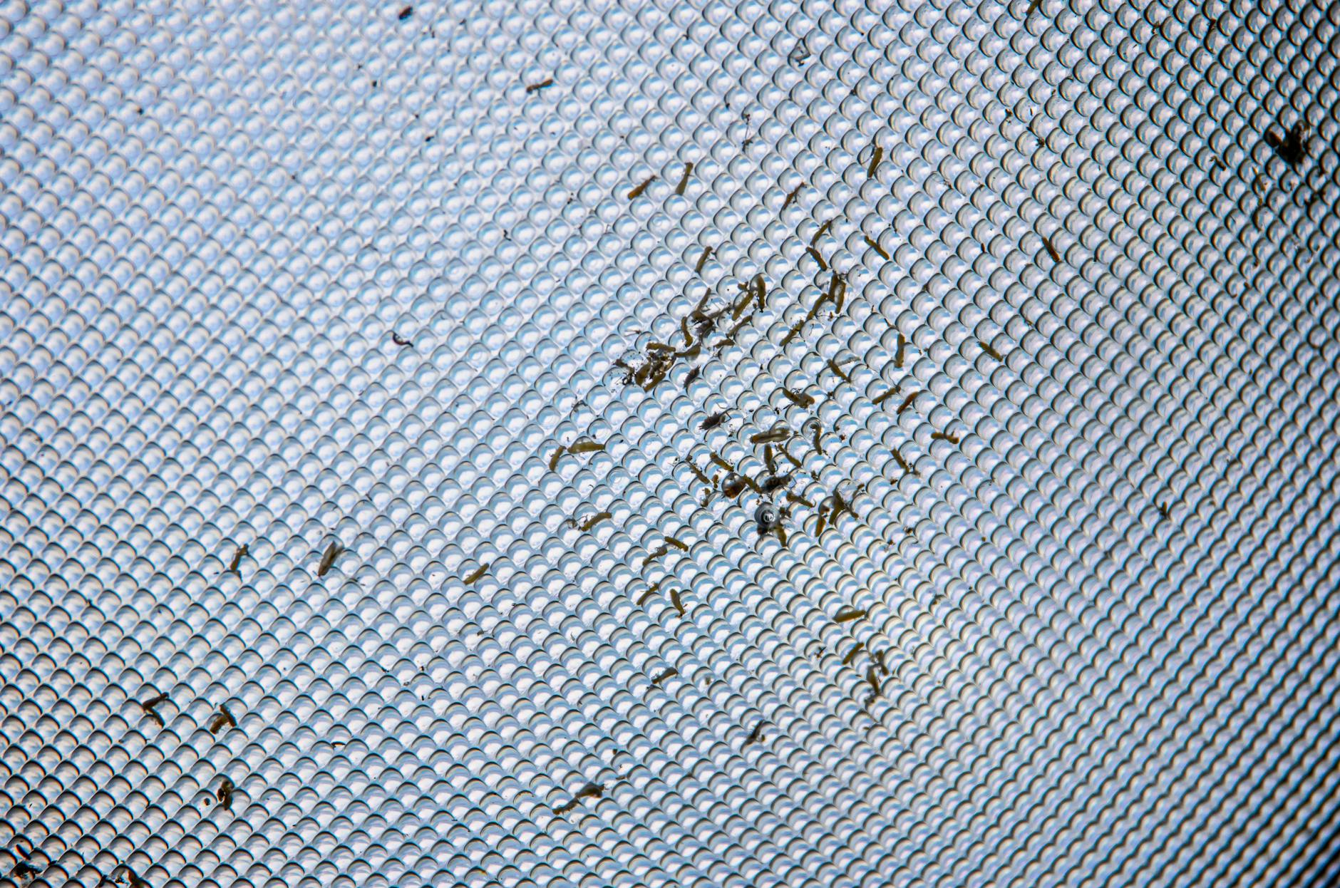 How to Install an Insect Screen (DIY) | Insect Out