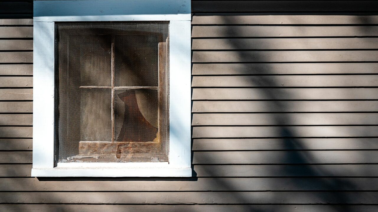 Insect Screen vs Mosquito Net: What's the Difference?