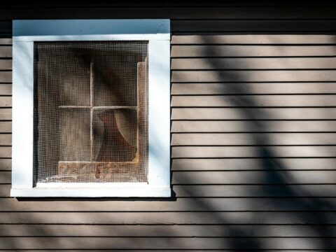 Insect Screen vs Mosquito Net: What's the Difference?