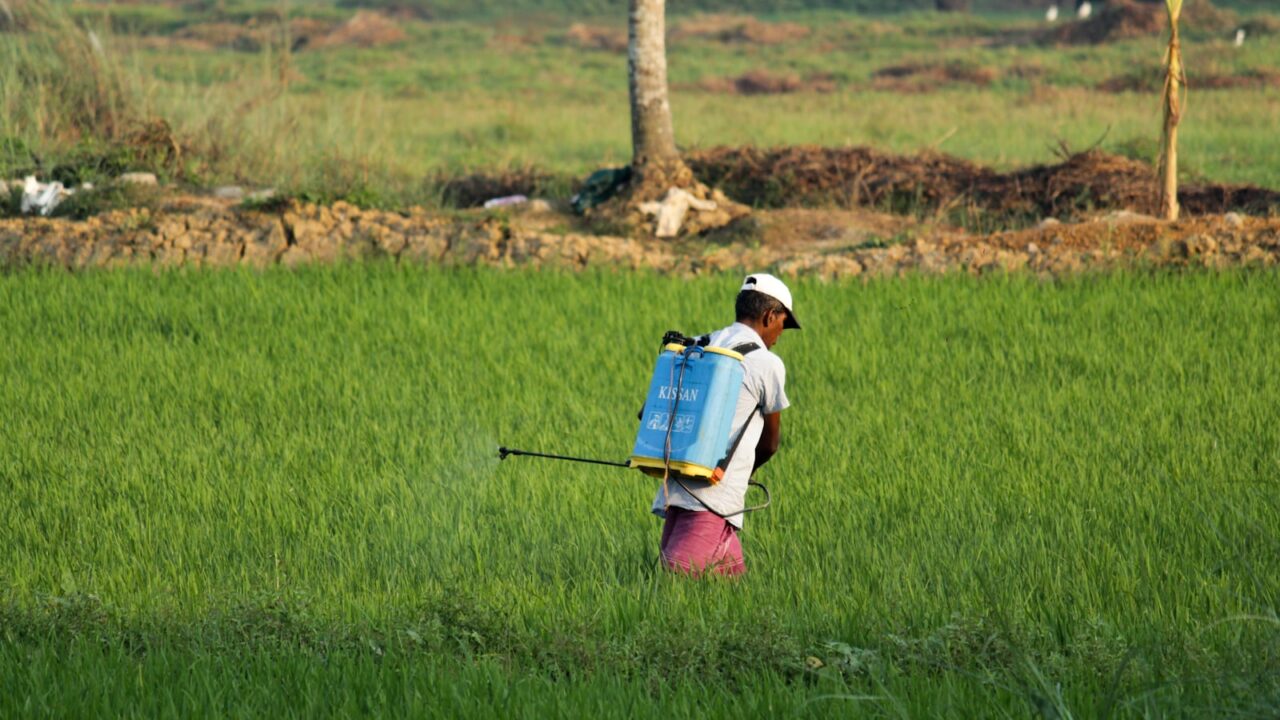 Pest Control Prices in Singapore: A 2026 Guide