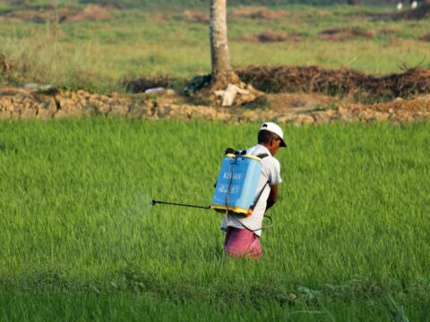 Pest Control Prices in Singapore: A 2026 Guide