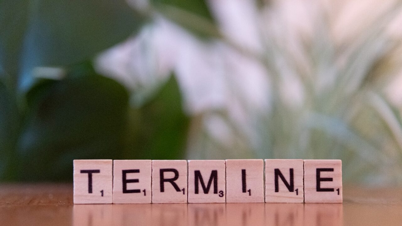 Termite Treatment Cost in Singapore: What to Expect