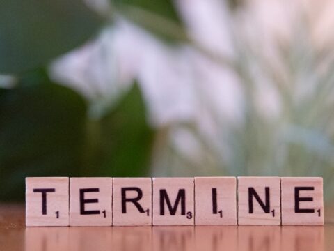 Termite Treatment Cost in Singapore: What to Expect