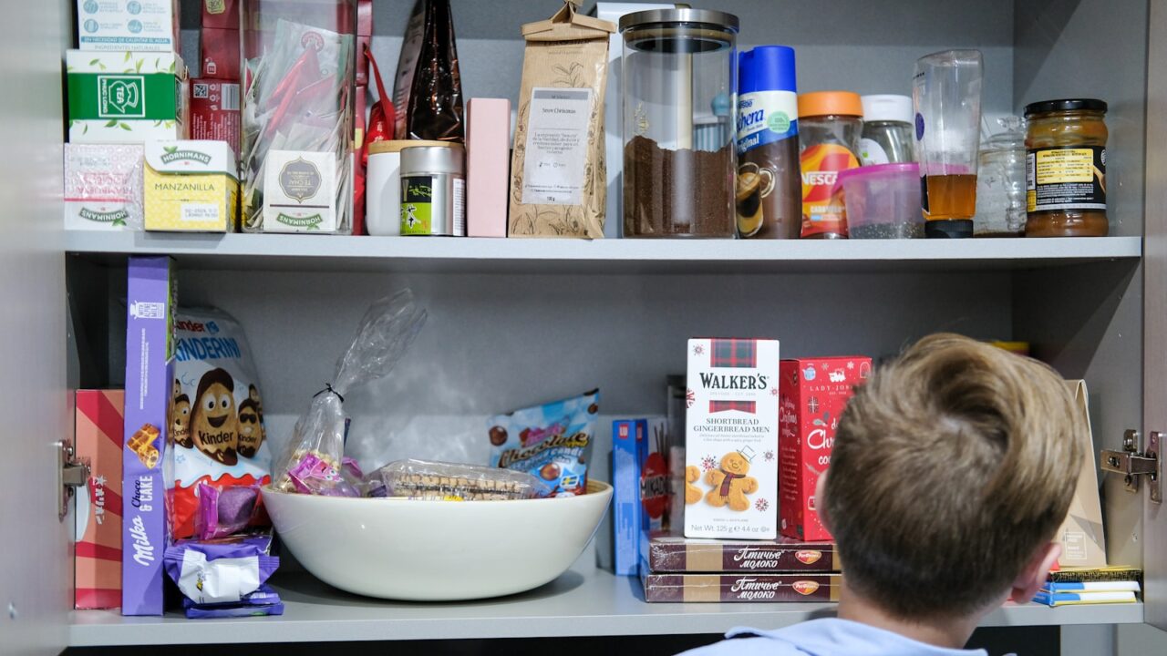 What Is a Pantry Moth? (And How to Get Rid of Them)