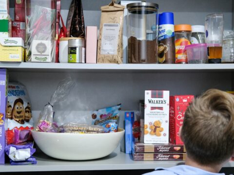 What Is a Pantry Moth? (And How to Get Rid of Them)