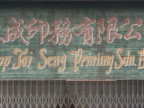 Bed Bug in Chinese: 床虱, 臭虫 & Other Local Names Explained