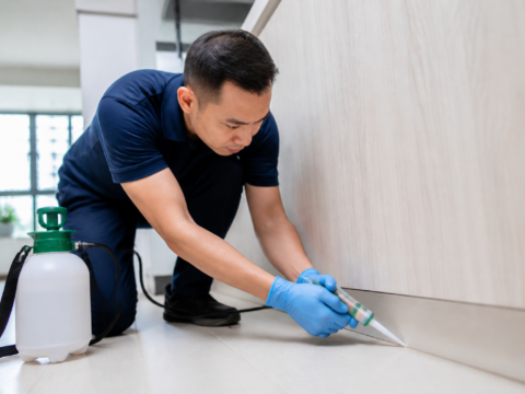 Pest control technician treating a Singapore home